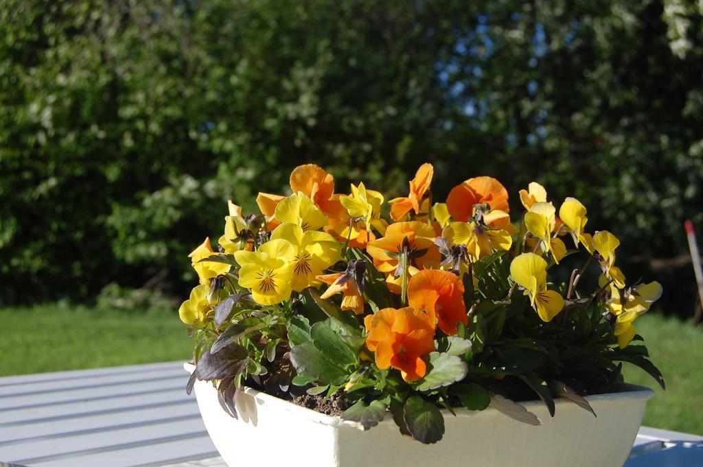 Brunnsgarden Bed & Breakfast Skelleftea Bagian luar foto