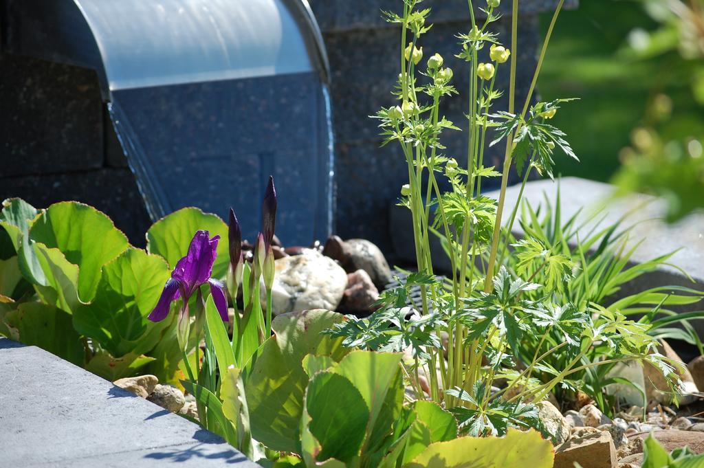 Brunnsgarden Bed & Breakfast Skelleftea Bagian luar foto