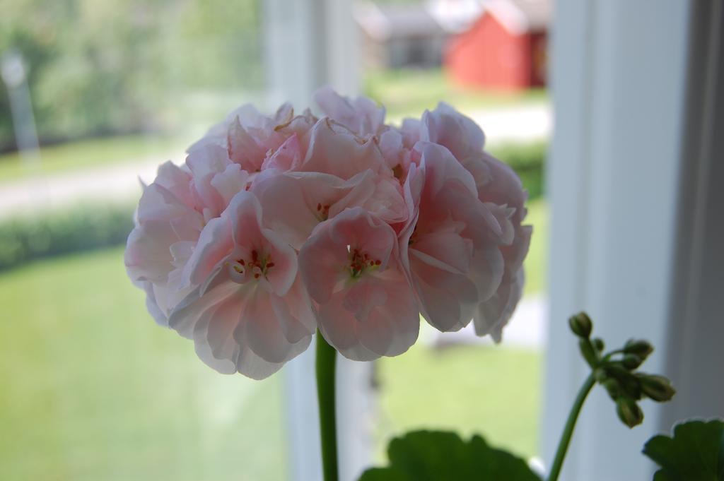 Brunnsgarden Bed & Breakfast Skelleftea Bagian luar foto